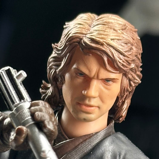 Anakin Skywalker Hot Toys Style