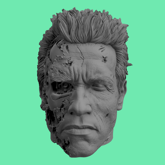 Terminator T-800 Arnold Schwarzenegger