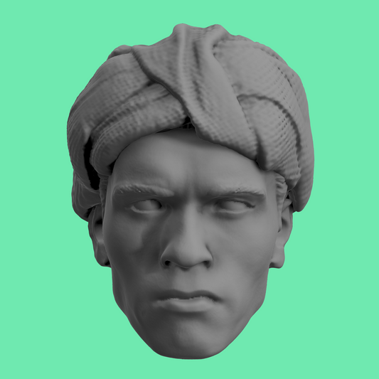 Arnold Schwarzenegger