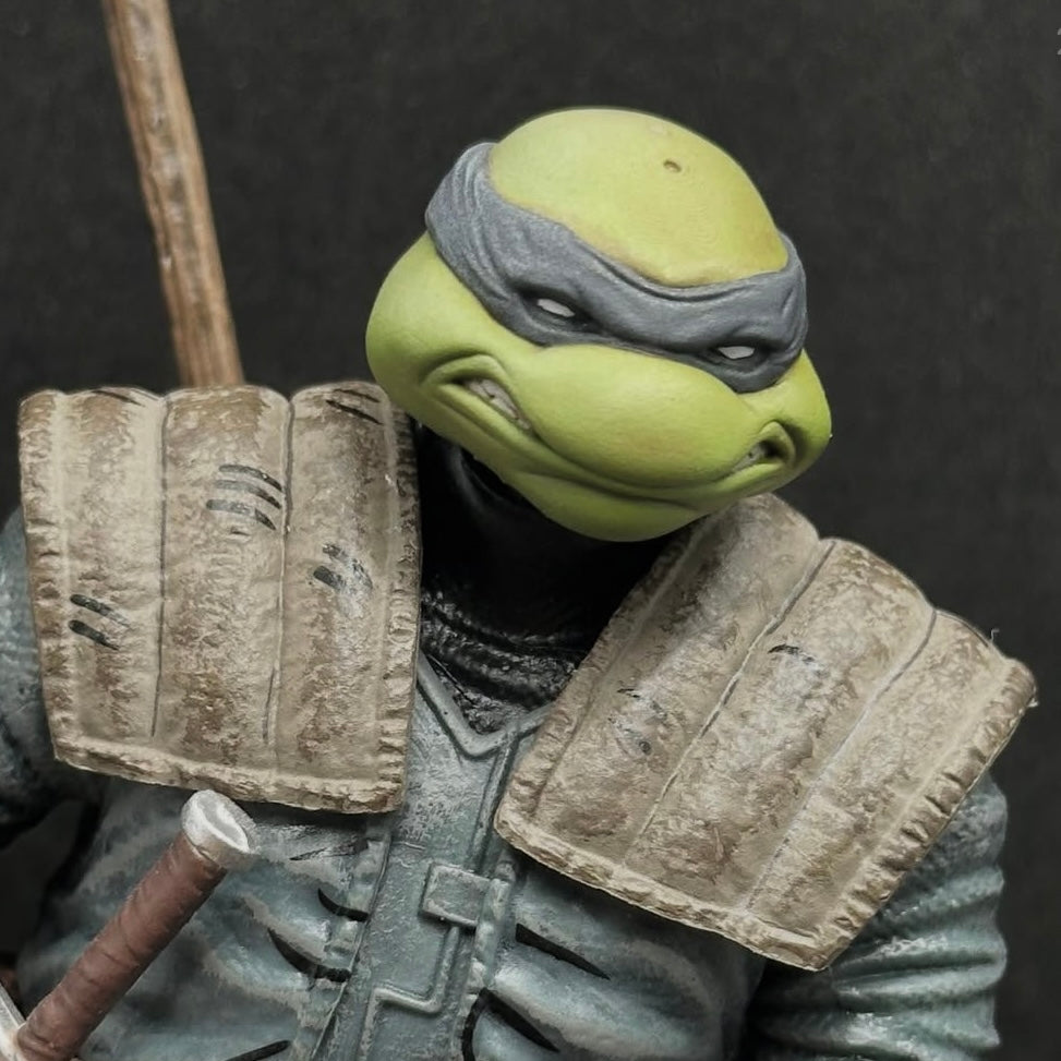 Ronin Turtle