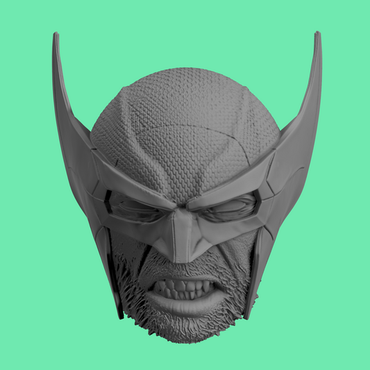 Wolverine Game Heads PS5