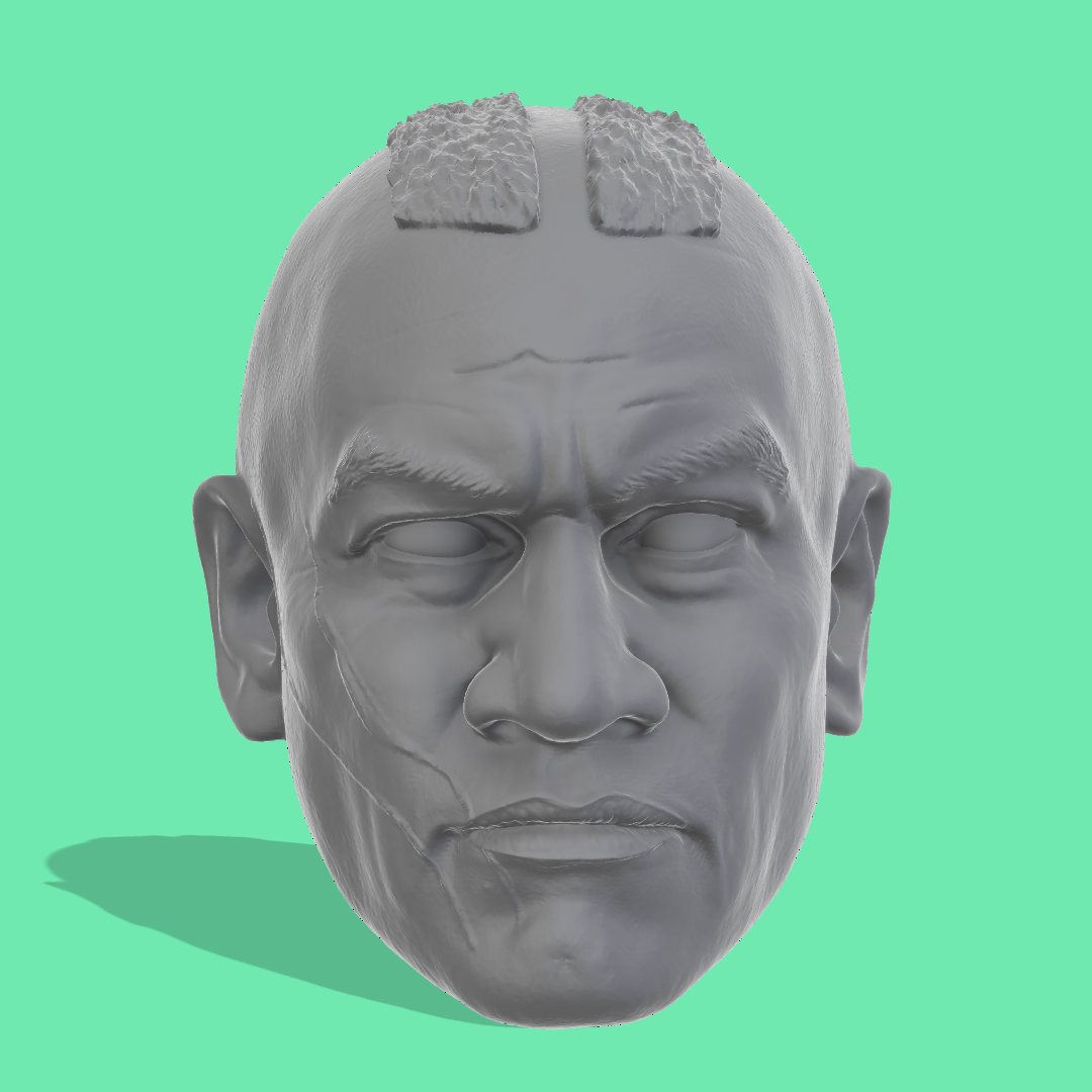Clone Trooper Heads