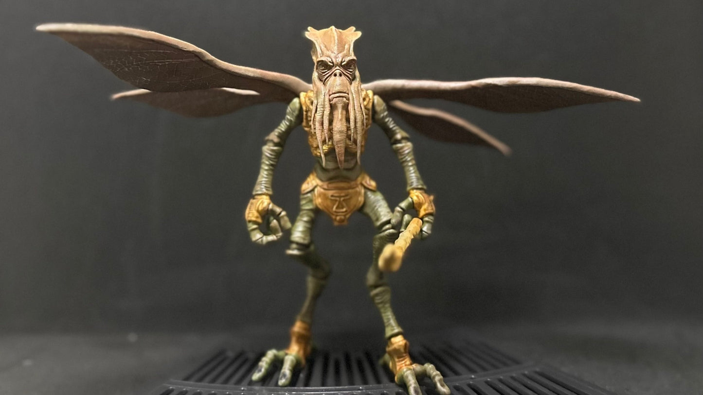 Poggle the Lesser