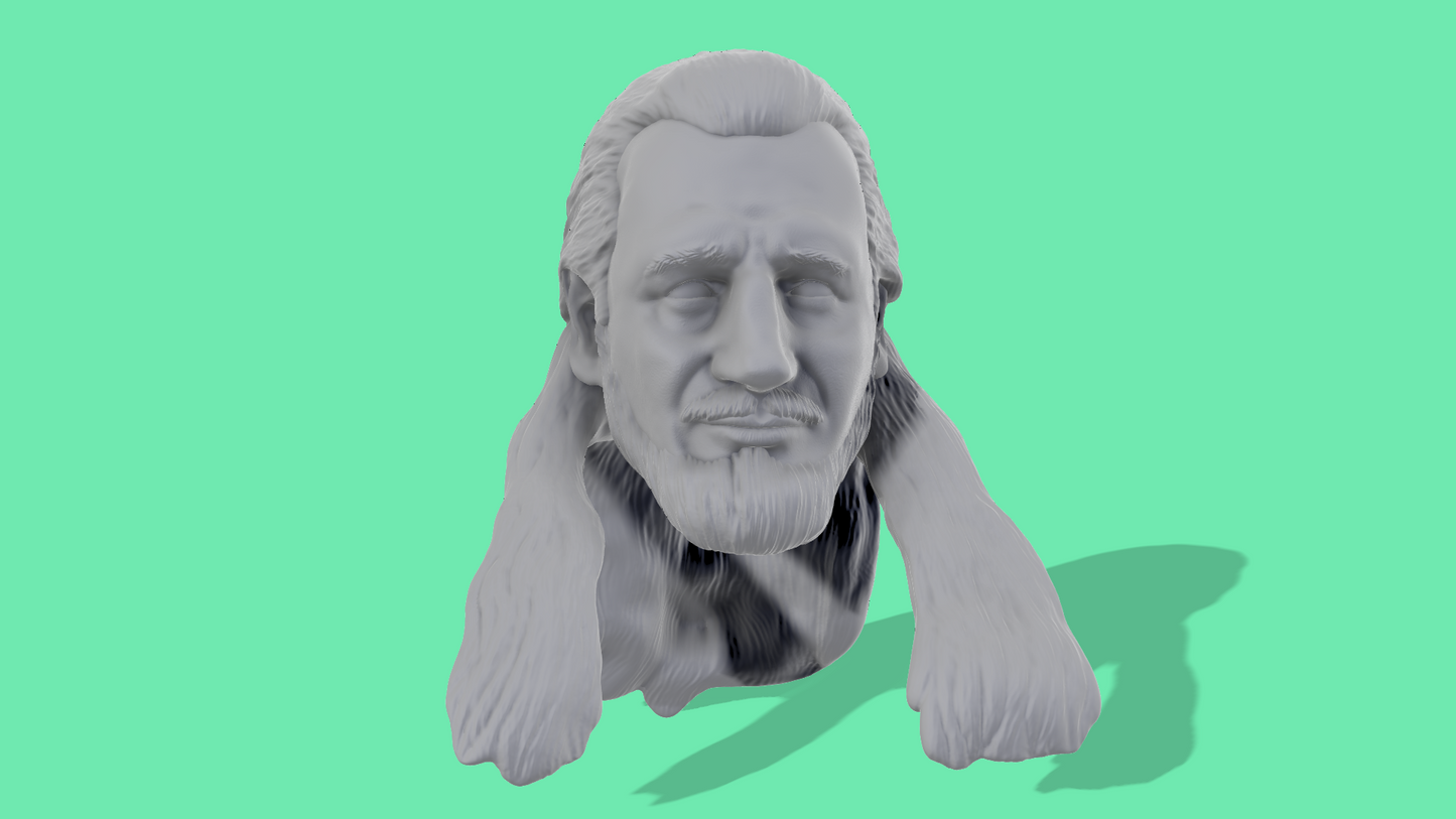 Qui-Gon TOTJ Head Sculpts