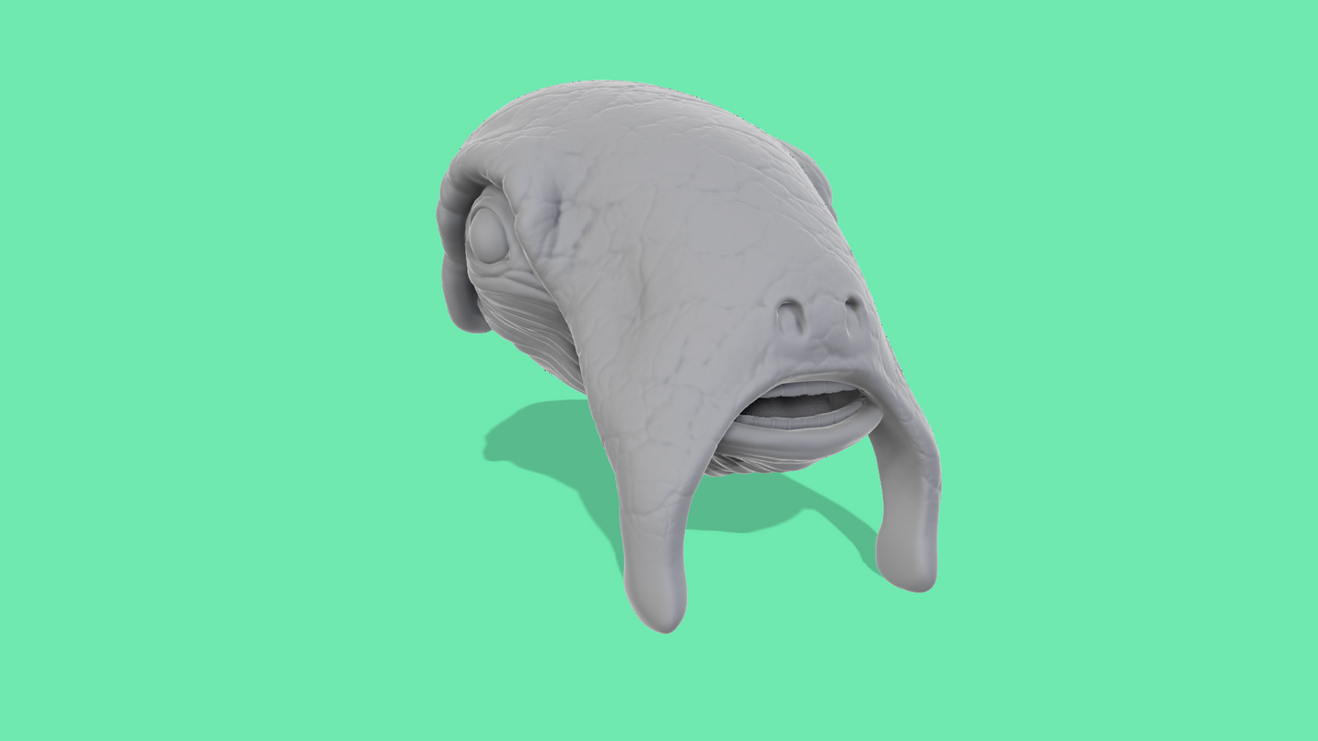 Selkath Head