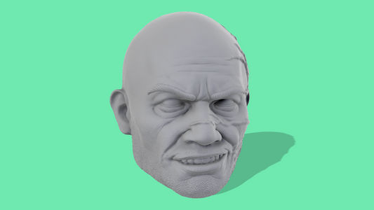 Wrecker Realistic Head Sculpts