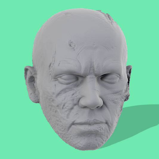 Anakin Burnt Head Sculpt