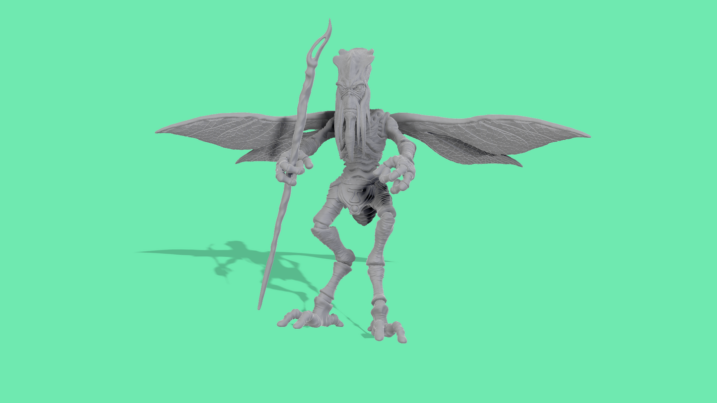 Poggle the Lesser