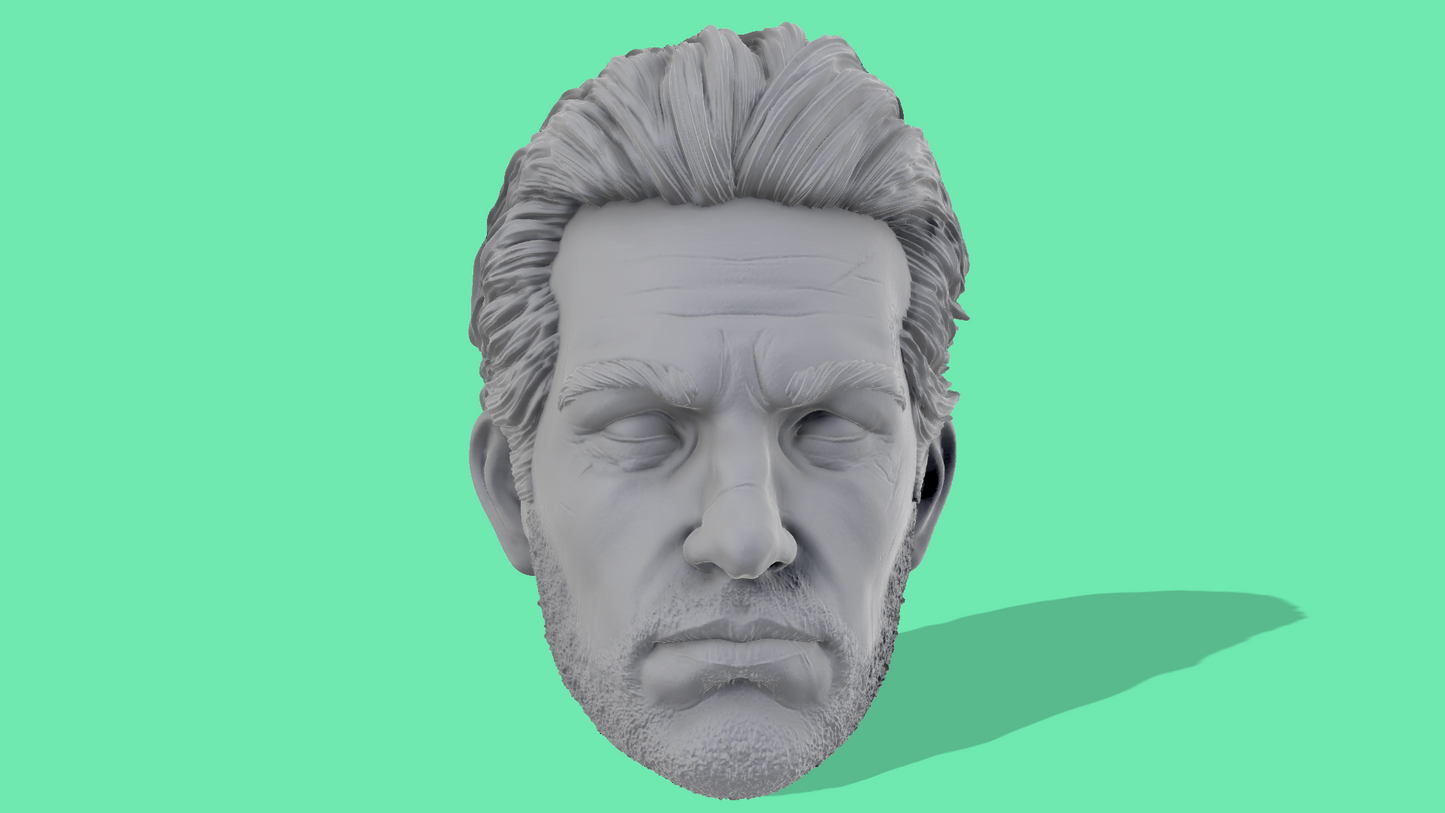 Scott Lang Head Sculpts