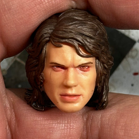 Anakin Skywalker Hot Toys Style