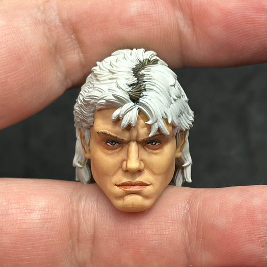 He-Man Masters of the Universe 1987 Dolph Lundgren
