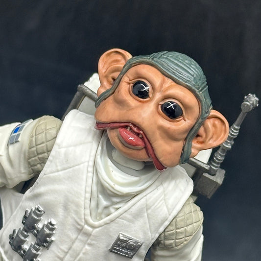 Neinnumb Head Sculpt