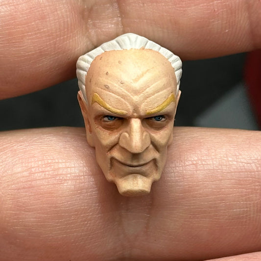 Animated Palpatine Head Sculpt