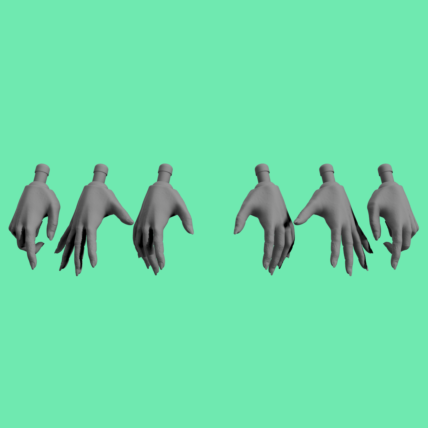 Female Hands