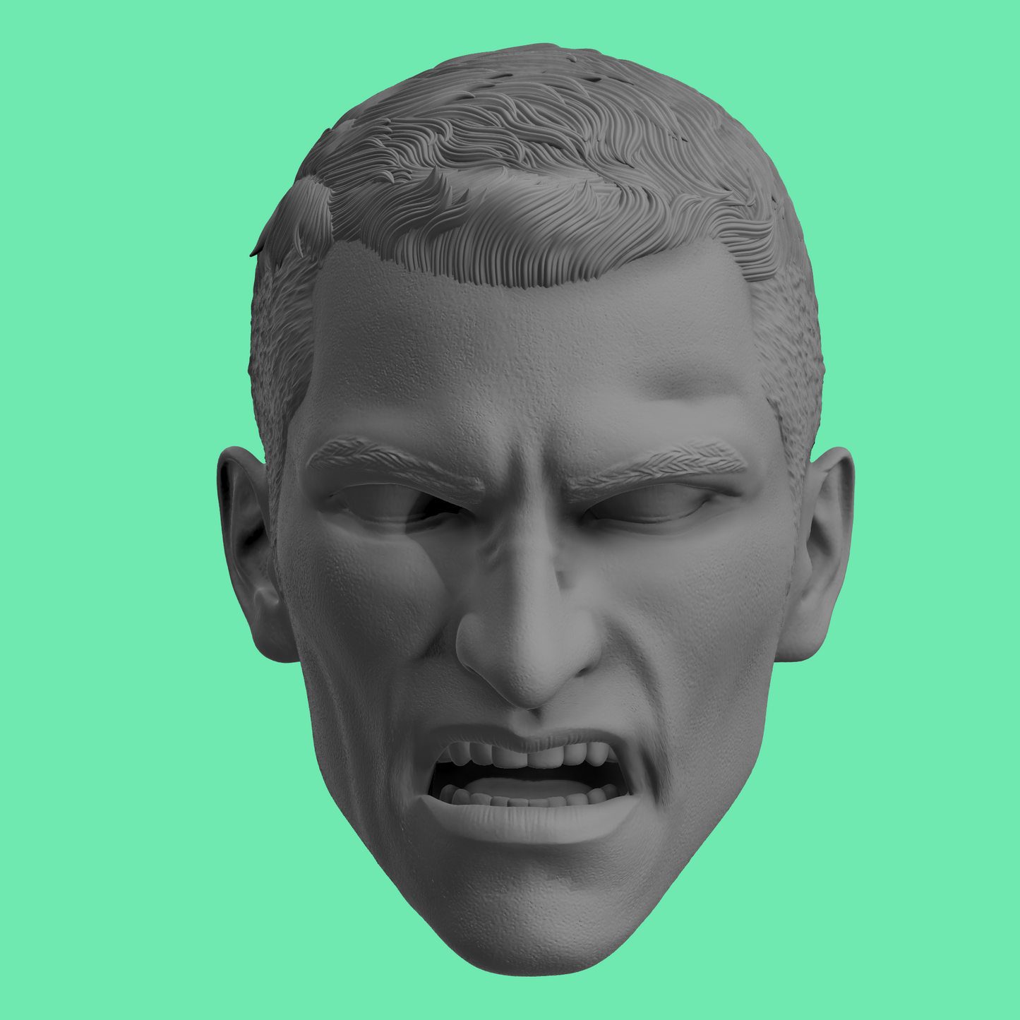 Ocelot