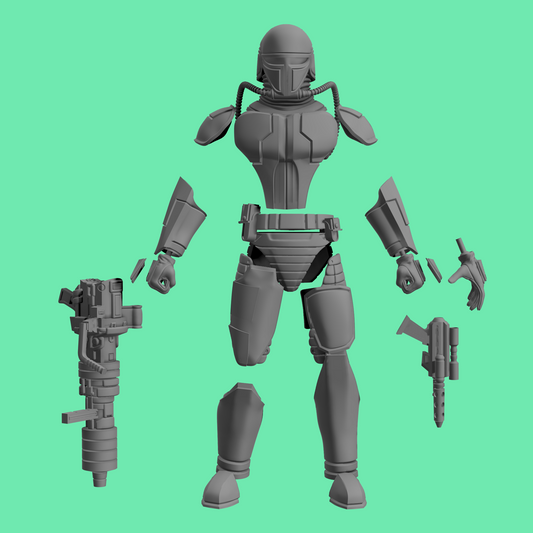 Mandalorian Preserver