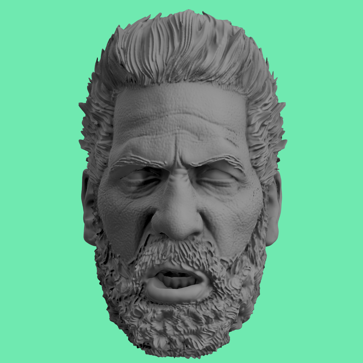 Punisher Head Varients