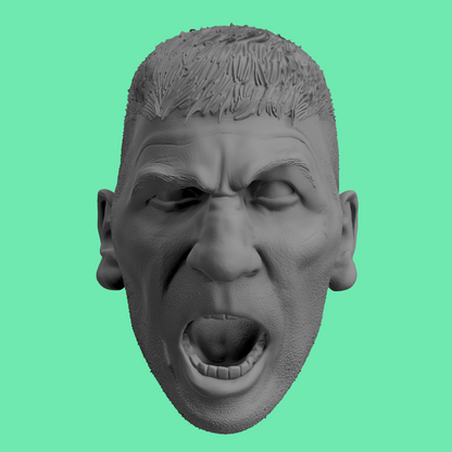 Punisher Head Varients