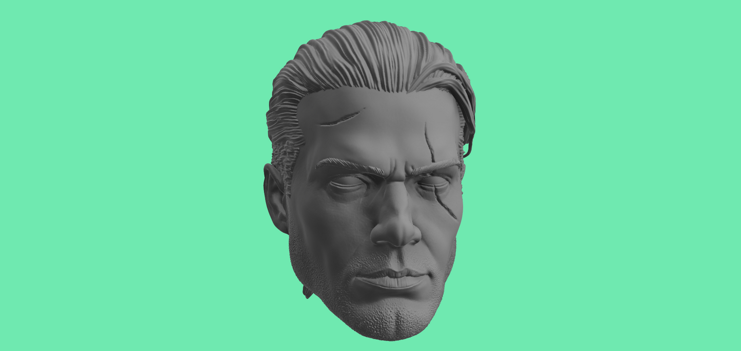 Witcher Head Sculpts