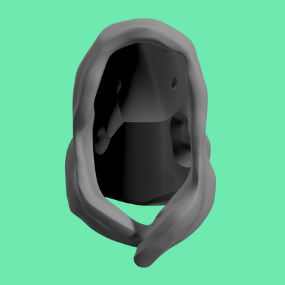 Darth Maul Hood and Bandolier