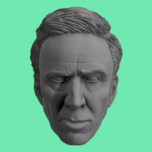 Nicolas Cage - Spider-Nior
