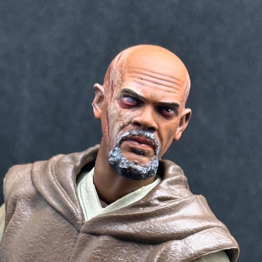 Damaged Mace Windu