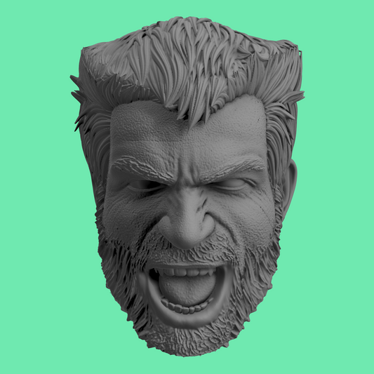 Wolverine Game Heads PS5