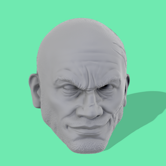 Wrecker Realistic Head Sculpts