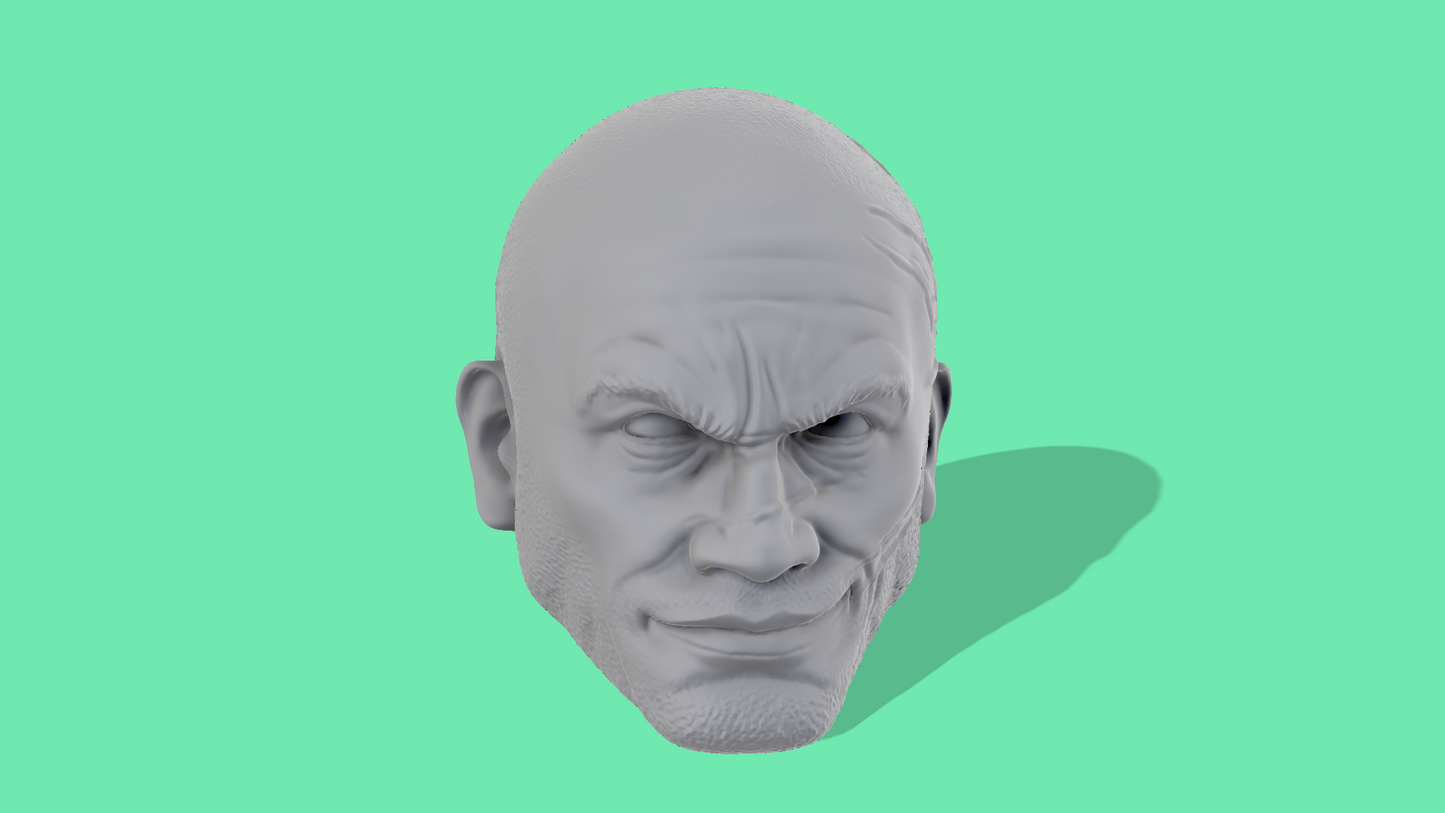 Wrecker Realistic Head Sculpts