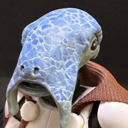Selkath Head