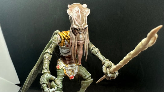 Poggle the Lesser