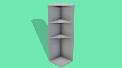 Storage Room Weapons Rack