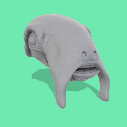 Selkath Head