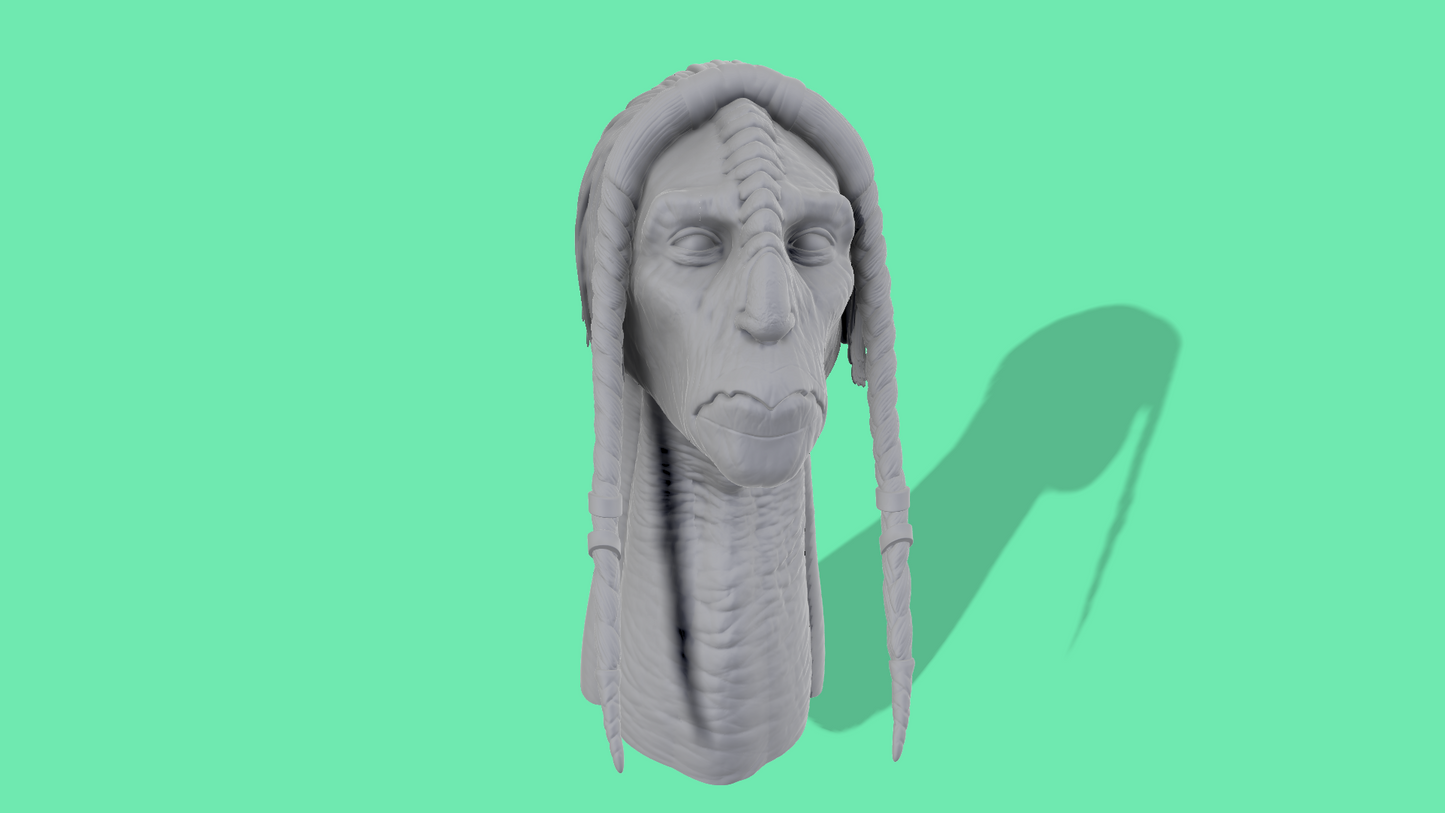Teri Sinubi Head Sculpt
