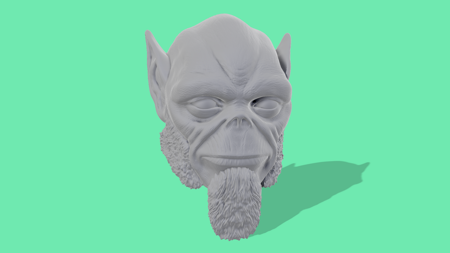 Zeb Head Sculpt and Accessories