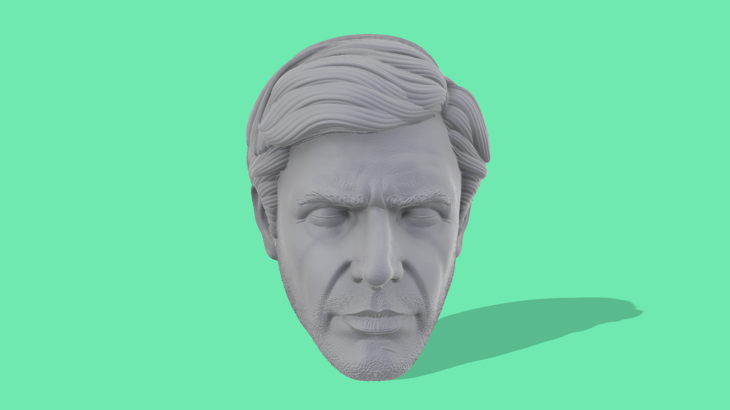 Indiana Jones Head Sculpts