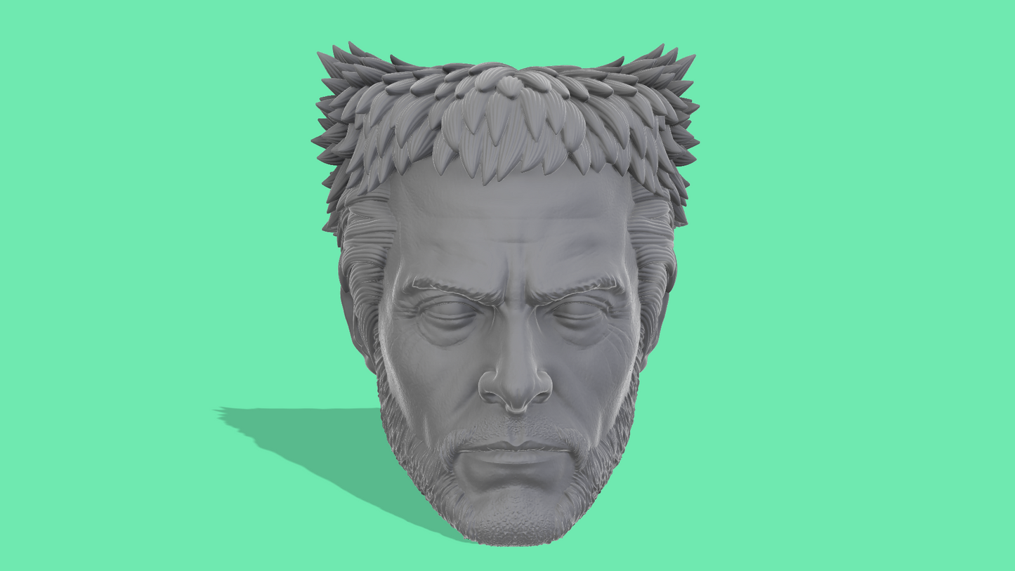 Logan Head Sculpts