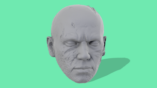 Anakin Burnt Head Sculpt