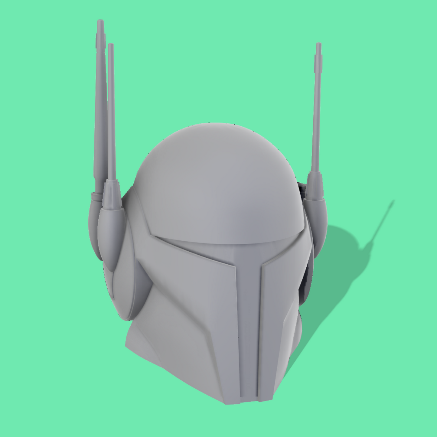 Pre Vizsla Accessories